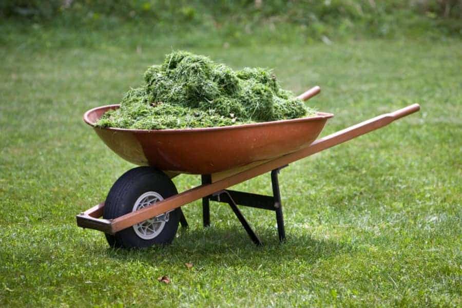 should grass clippings be left on the lawn 
