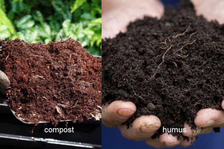 compost vs humus